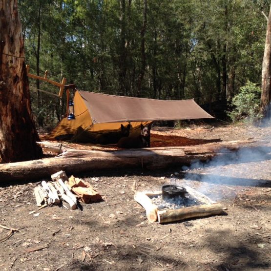 shelter in woods