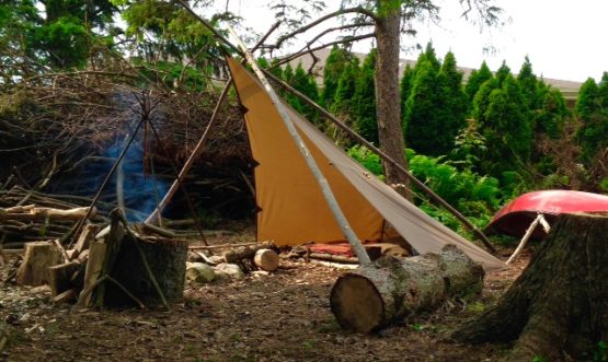 shelter in woods