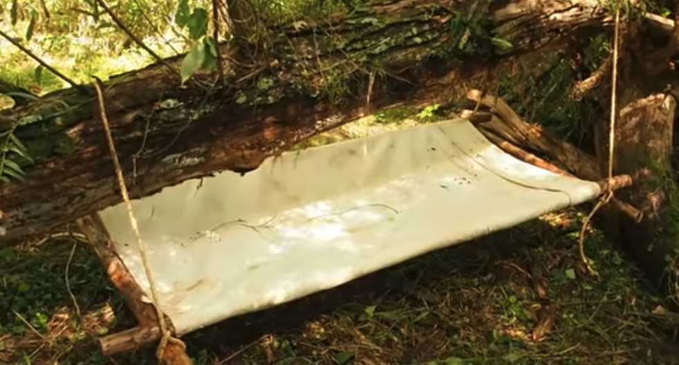 white canvas hammock hanging under a fallen tree