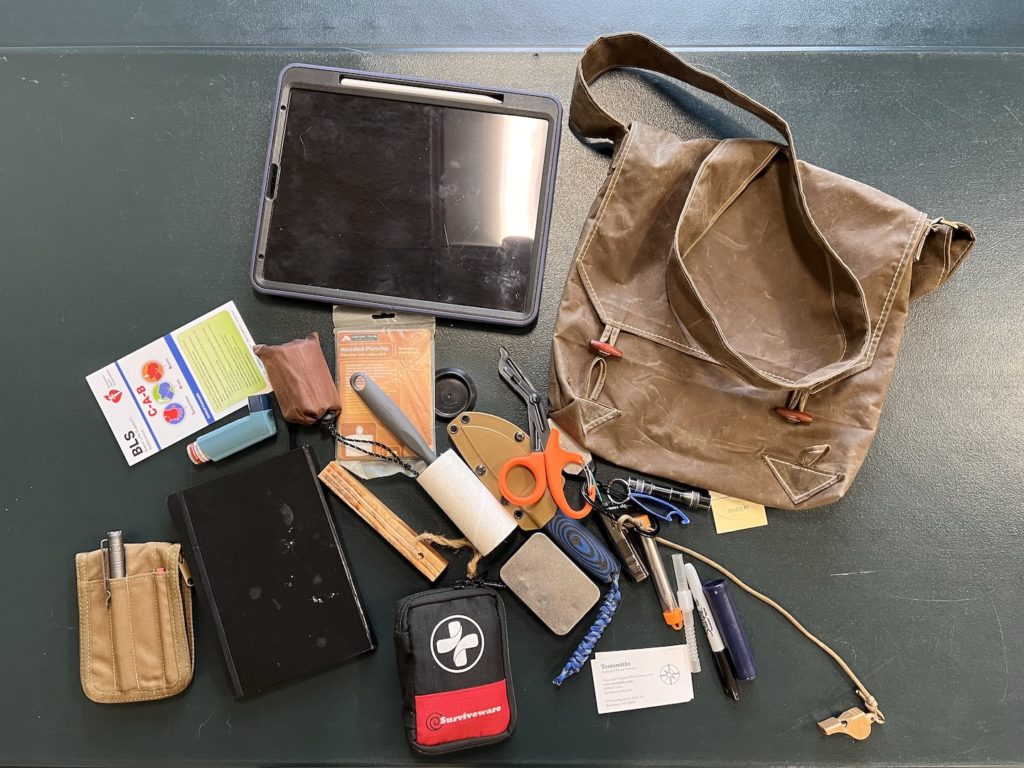 contents of shoulder bag on table